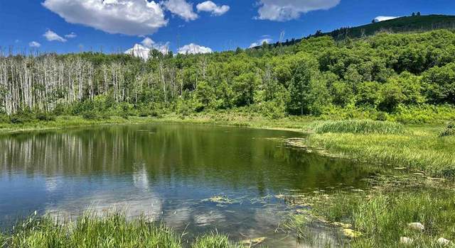 Photo of 000 Groundhog Reservoir Rd Unit Pond Rock Elk & Cattle, Dolores, CO 81323