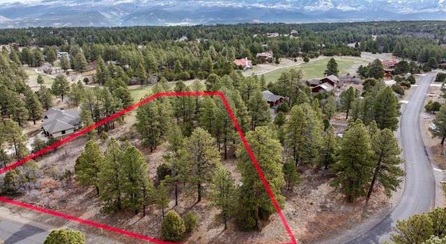 Photo of Lot 439 S Badger Trl, Ridgway, CO 81432