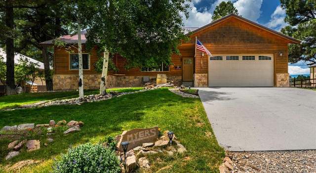 Photo of 80 Woodward Dr, Pagosa Springs, CO 81147