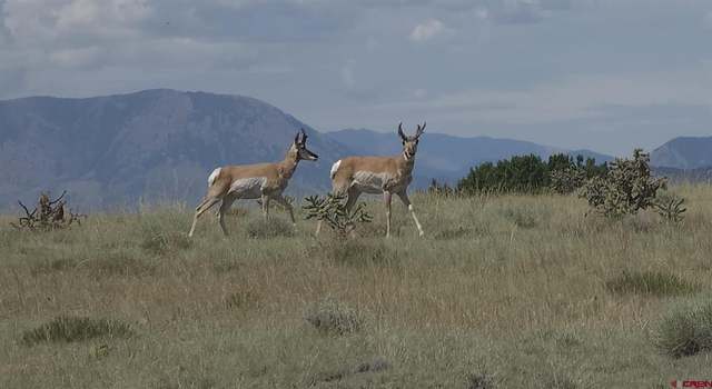 Photo of TBD County Road 616, Walsenburg, CO 81089