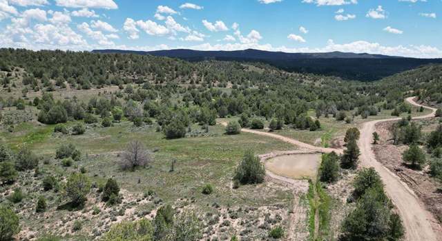 Photo of 281 Oasis Valley Rd, CO 81303