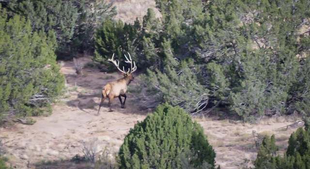 Photo of 84521 County Road 40.2 Unit Poitry Canyon Ranch, Branson, CO 81027