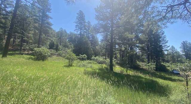 Photo of 462 Circle Dr, Pagosa Springs, CO 81147