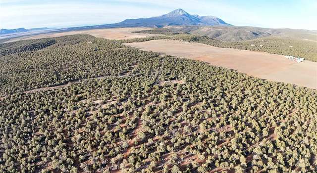 Photo of 11242 Road 20, Cortez, CO 81321