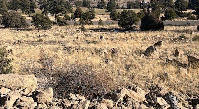 Photo of 0 Ellingwood Dr, South Fork, CO 81154
