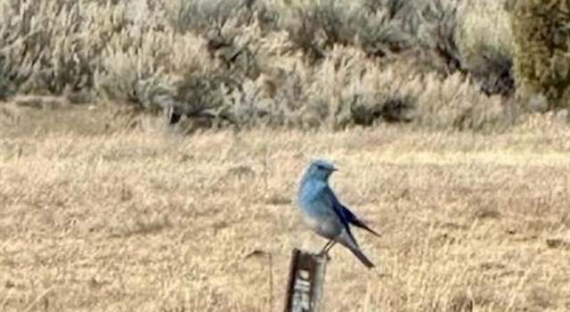 Photo of 1705 Highway 96, Gallina, NM 87017