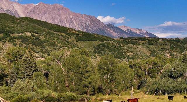 Photo of 16001 Highway 133, Somerset, CO 81434