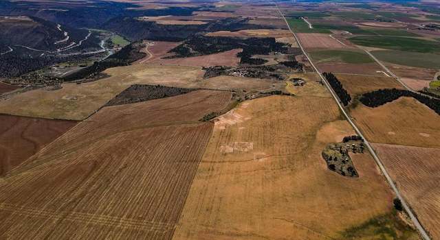 Photo of 15076 County Road 16, Cahone, CO 81320