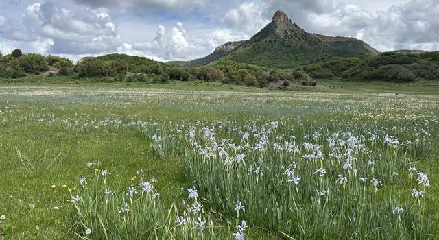Photo of Lot 77 Road 29.8, Cahone, CO 81320