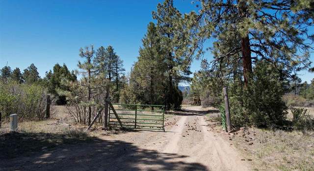Photo of 1043 Ranchland Dr, Pagosa Springs, CO 81147