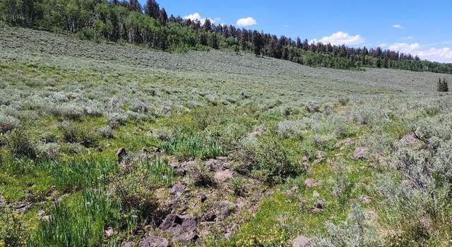 Photo of TBD Buck Run Rd, Powderhorn, CO 81243