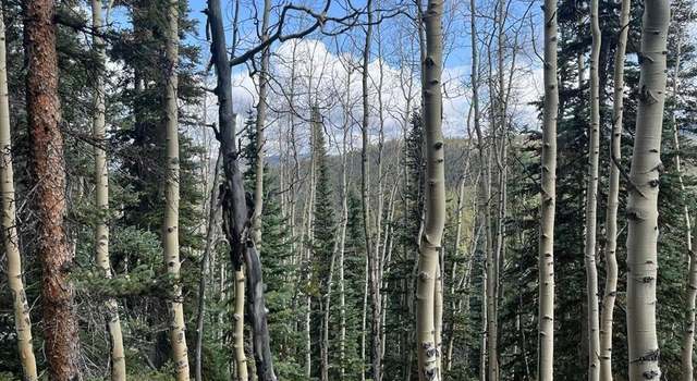 Photo of TBD Forest Service Road 554, Almont, CO 81210