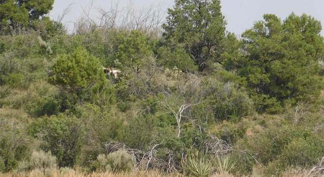 Photo of LOTS 1-3 Road 21, Lewis, CO 81327