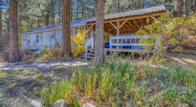 Photo of 1895 Taylor Ln #505, Pagosa Springs, CO 81147