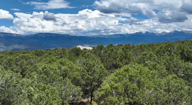 Photo of Lot 19 Ponderosa Dr, Ridgway, CO 81432