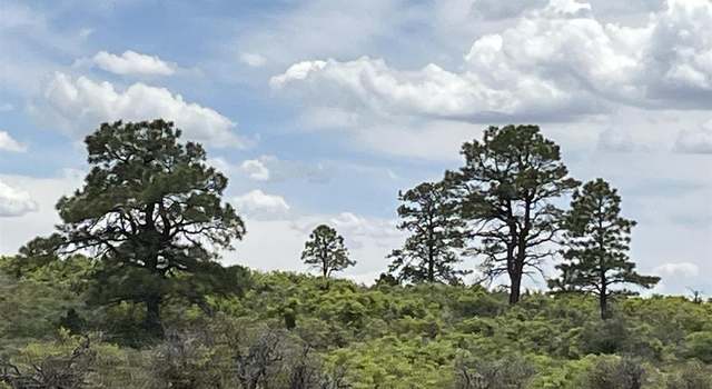 Photo of 3537 Road 10.8, Dove Creek, CO 81324