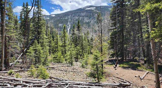 Photo of 842 Elk St, Jasper, CO 81144