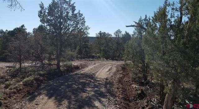 Photo of 6794 County Road 318, Ignacio, CO 81137