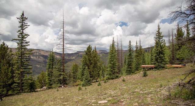 Photo of XYZ Forest Service Road 503 Rd, Creede, CO 81130
