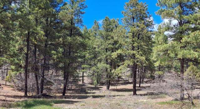 Photo of 80 Sandstone Ct, Pagosa Springs, CO 81147