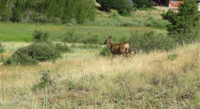 Photo of 310 Sundown Dr, Creede, CO 81130