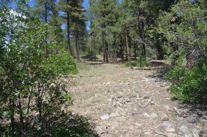 577 Ginger Cir Pagosa Springs Co 81147 Mls 773175 Redfin 577 Ginger Cir Pagosa Springs Co 81147 Mls 773175 Redfin