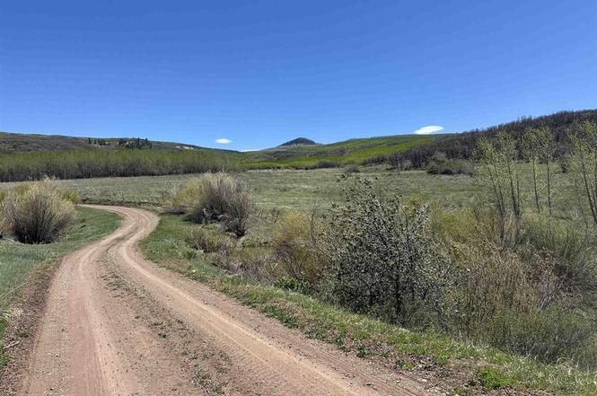 25659 Bear Creek Rd - Photo 2 of 43 25659 Bear Creek Rd