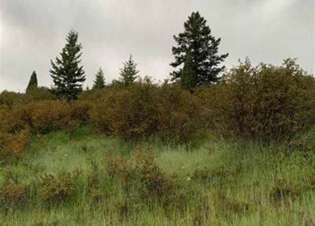 Property at 155 Caribou Rd, Soda Springs, ID 83276