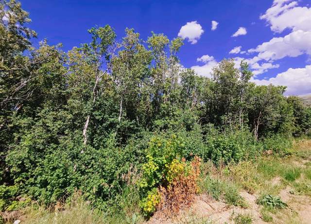 Property at TBD Monashee Cir, Inkom, ID 83246
