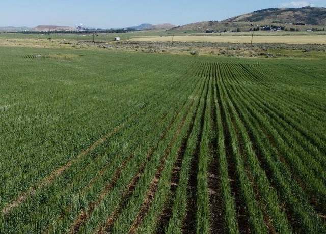 Property at TBD Gunnell Rd Lot #4, Soda Springs, ID 83276