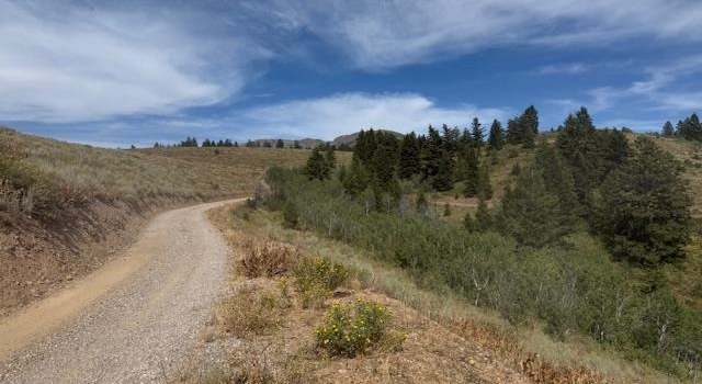 Photo of Mercer Creek Road, Arbon Valley, ID 83212
