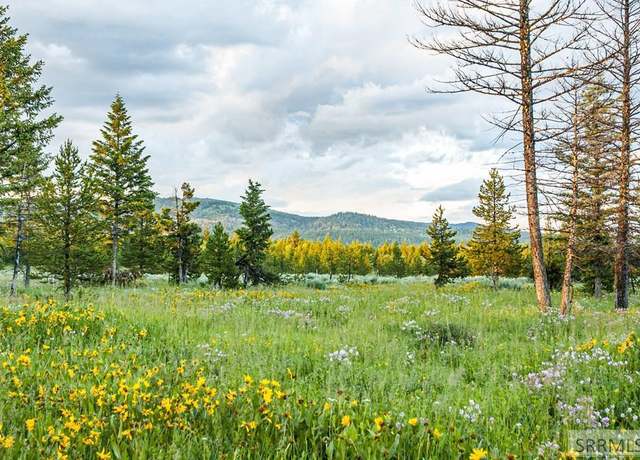 Property at 2819 NE Sage Hen Dr, Island Park, ID 83429