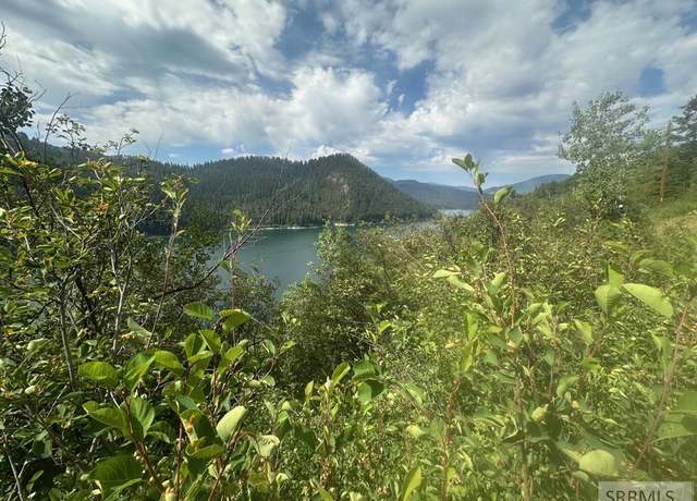 Property at Lot 10 Why Worry Ln, Irwin, ID 83428