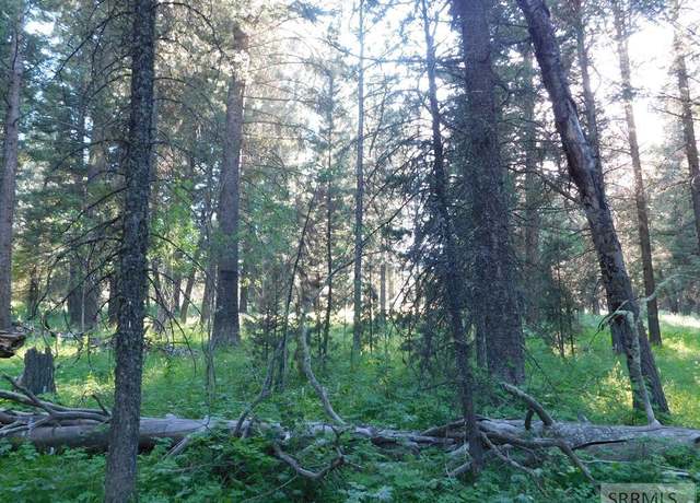 Property at 4911 Shadow Wood Ln, Island Park, ID 83429