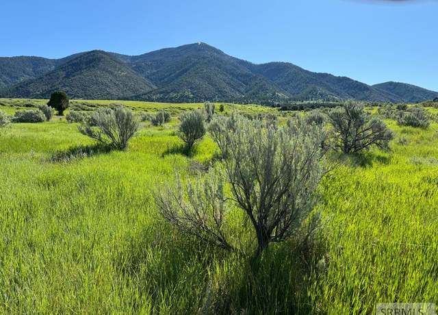 Property at L16B4 Sumac Loop, Swan Valley, ID 83449
