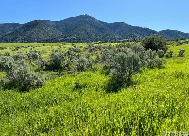 Property at L15B4 Sumac Loop, Swan Valley, ID 83449