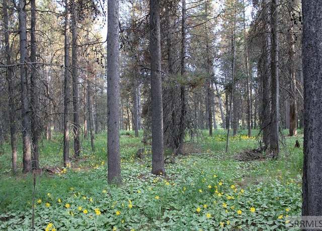 Property at 3511 Buffalo Ln, Island Park, ID 83429