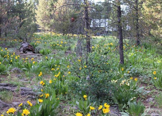 Property at 0000 Buffalo Dr, Island Park, ID 83429