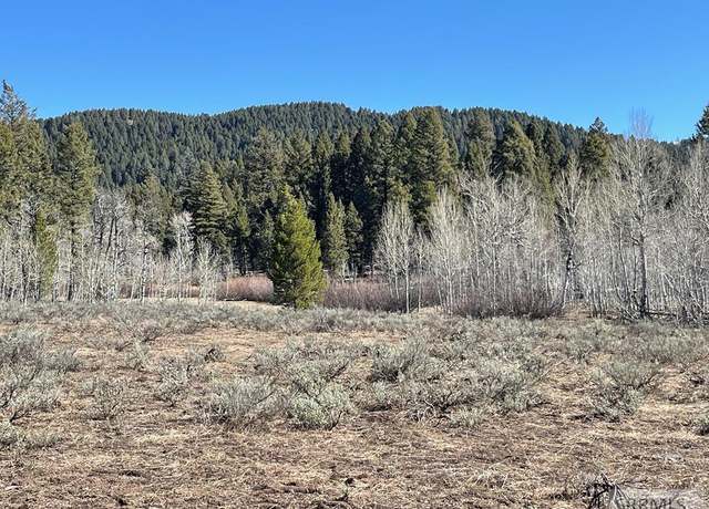 Property at 0 Camas Rd, Kilgore, ID 83423