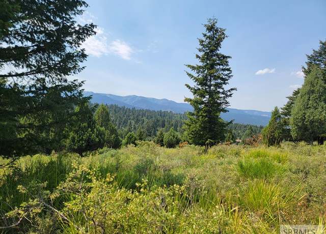 Property at L61 B4 Cutthroat Run, Irwin, ID 83428