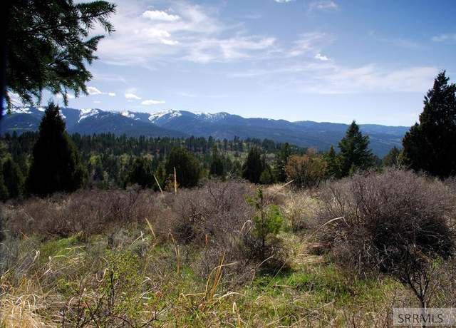Property at L54B4 Cutthroat Run, Irwin, ID 83428