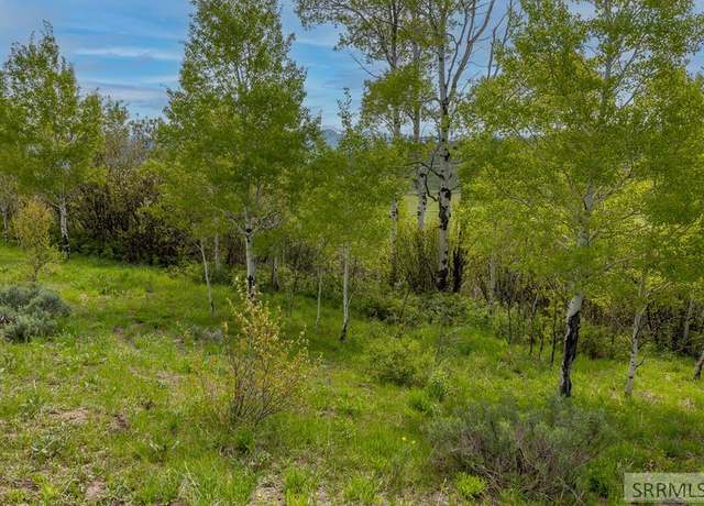 Property at 000 Grouse Creek Loop, Freedom, ID 83120