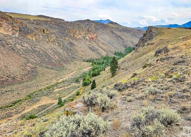 Property at 4897 N Trail Creek Rd, Mackay, ID 83251