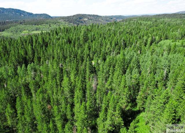 Property at TBD Hannah's Xing, Ashton, ID 83420