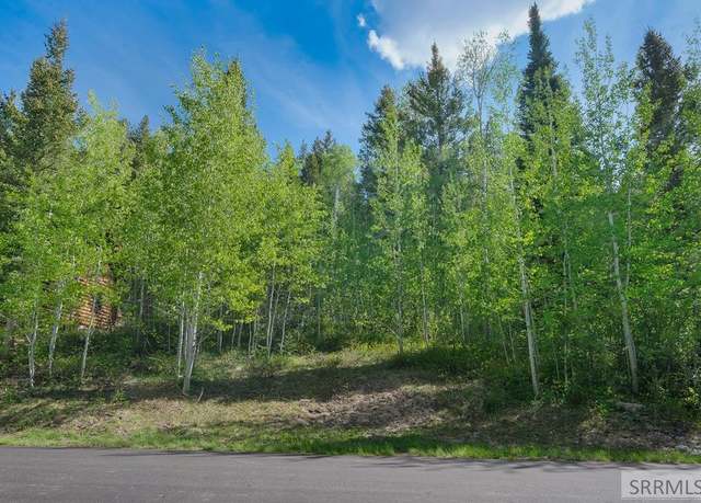 Property at 42 Blackfoot Trl, Victor, ID 83455