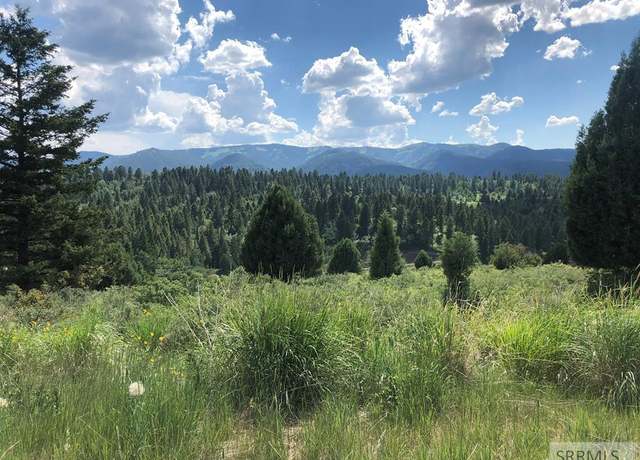 Property at L63B4 Cutthroat Run, Irwin, ID 83428