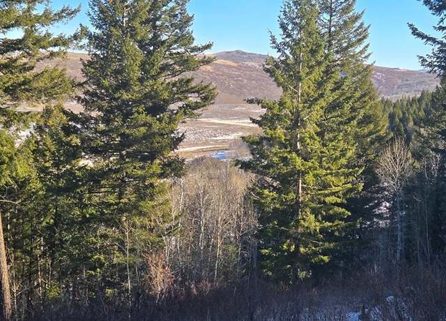 Property at TBD Long Valley Rd, Firth, ID 83236