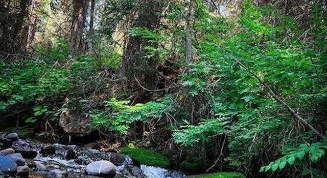 Photo of 4142 Yale Creek Rd, Island Park, ID 83429