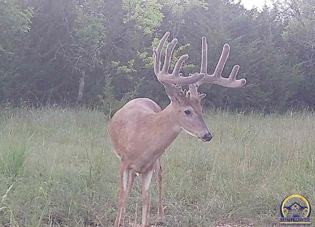 Property at 00000 110th Rd, Hoyt, KS 66440