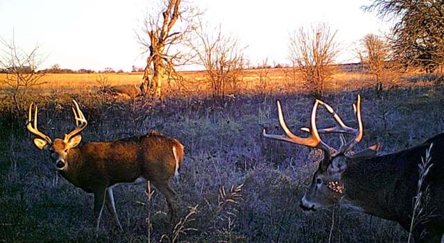 Photo of 00000 90th Rd, Cedar Point, KS 66843